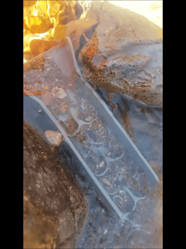 Mini Pocket Sluice Box with Dream Mat | Gold Prospecting Equipment
